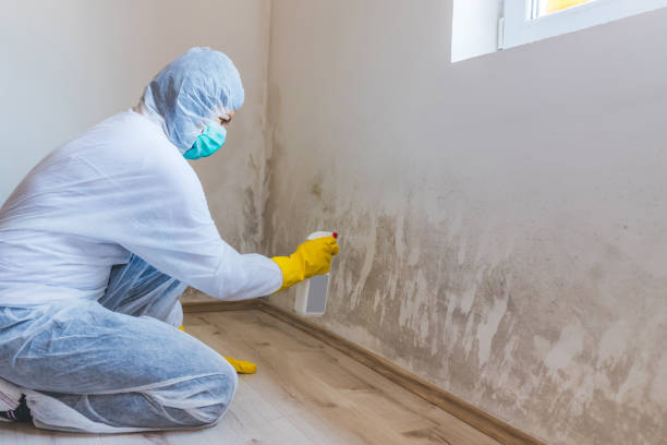 Hvac And Air Duct Mold Remediation inspection of HVAC system in Mill Creek
